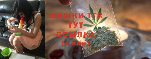 гашик Краснослободск