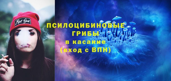 СК Алзамай