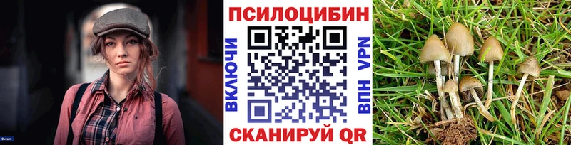 hydra сайт  Ейск  Псилоцибиновые грибы мицелий 